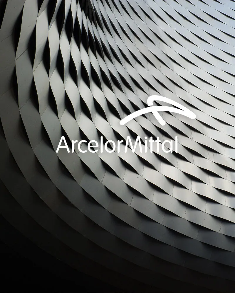 Galerie - MV Studio SRL